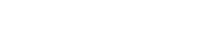 Leonedesign